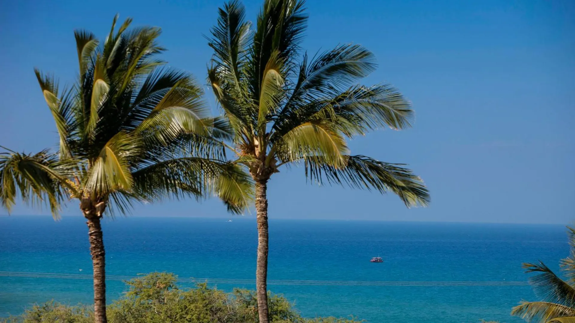 Maui Kamaole A103 - Mch Villa Kihei United States